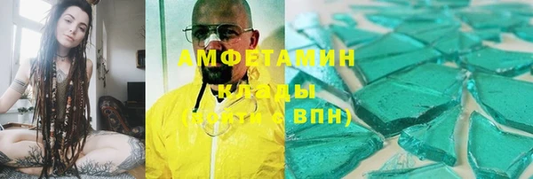 прущие грибы Новозыбков