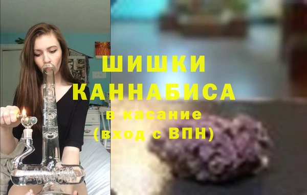 прущие грибы Новозыбков