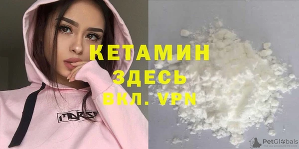 прущие грибы Новозыбков