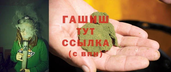 прущие грибы Новозыбков