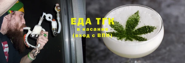 прущие грибы Новозыбков