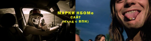 прущие грибы Новозыбков