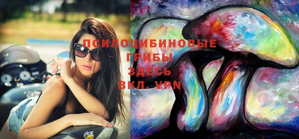 дживик Грязовец