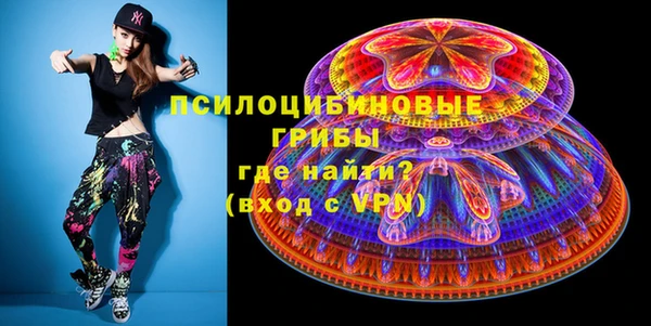 прущие грибы Новозыбков