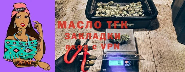 прущие грибы Новозыбков