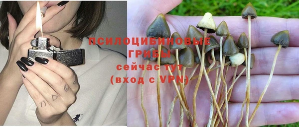 jwh Новодвинск