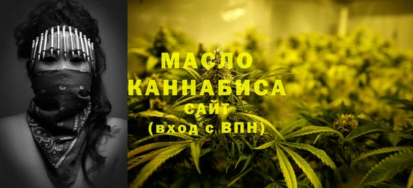 прущие грибы Новозыбков