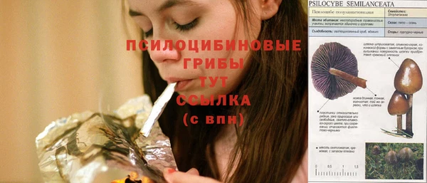 jwh Новодвинск
