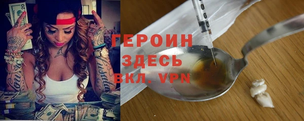 прущие грибы Новозыбков
