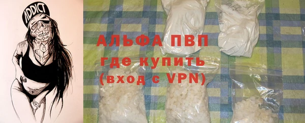 прущие грибы Новозыбков