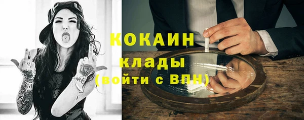прущие грибы Новозыбков