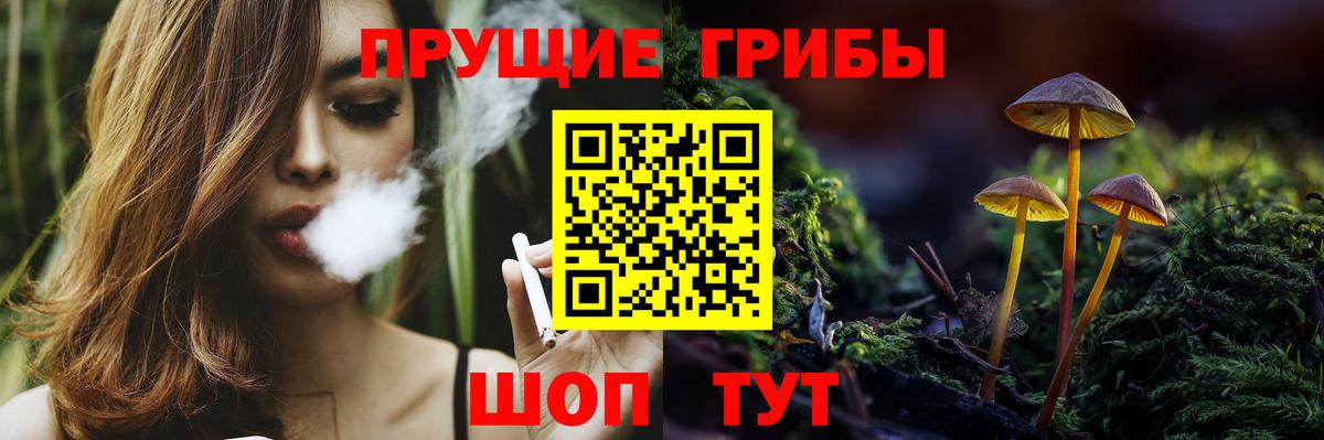 Псилоцибиновые грибы Psilocybe  Вход с VPN  Фролово 