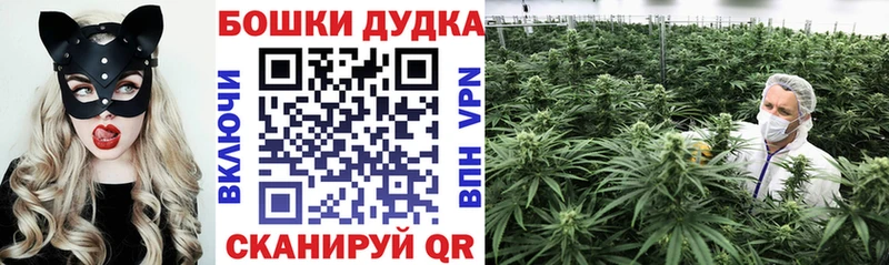 наркошоп  Фролово  Конопля гибрид 